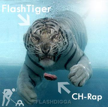 FlashTiger FlashTiger